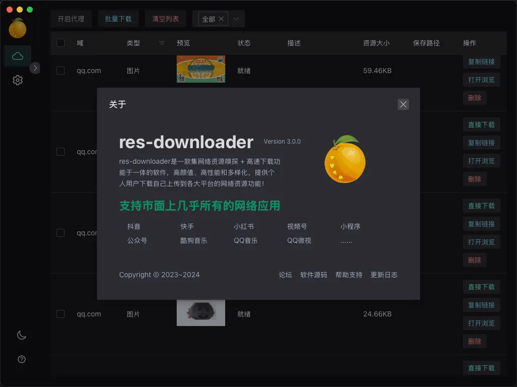 res-downloader software interface